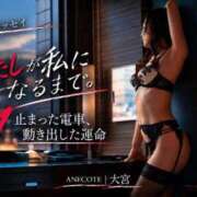 ヒメ日記 2026/10/18 20:39 投稿 大宮 ANECOTE
