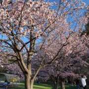 ヒメ日記 2026/04/23 18:21 投稿 とあ ソープランド AQUA（アクア）