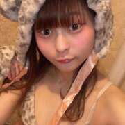 ヒメ日記 2026/04/11 16:19 投稿 ひつじ ハピネス＆ドリーム福岡