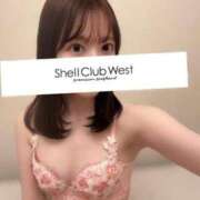 ヒメ日記 2026/04/17 19:46 投稿 田村　しほ シェルクラブ・ウエスト