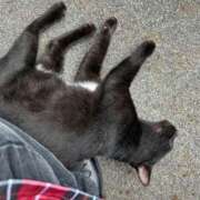 ヒメ日記 2026/04/20 13:59 投稿 マナ 京都デリヘル倶楽部FIRST