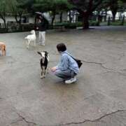 ヒメ日記 2026/03/30 22:46 投稿 ちはや ぽっちゃり巨乳素人専門横浜関内伊勢佐木町ちゃんこ