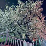 ヒメ日記 2026/04/03 22:06 投稿 ちはや ぽっちゃり巨乳素人専門横浜関内伊勢佐木町ちゃんこ