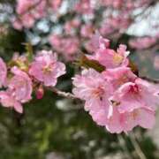 ヒメ日記 2026/04/05 21:02 投稿 すみれ でりどす