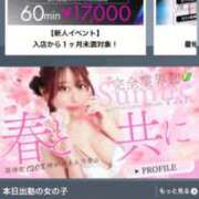 ヒメ日記 2026/04/07 10:30 投稿 すみれ でりどす