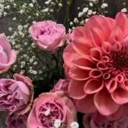 ヒメ日記 2026/04/26 10:15 投稿 すみれ でりどす