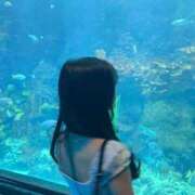 ヒメ日記 2026/08/26 15:01 投稿 すみれ でりどす