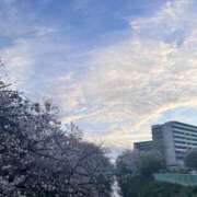 ヒメ日記 2026/04/03 10:30 投稿 さりな☆眩しい笑顔で超美☆ アネキャンモード