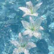 ヒメ日記 2026/04/10 12:24 投稿 さりな☆眩しい笑顔で超美☆ アネキャンモード