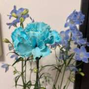 ヒメ日記 2026/04/15 10:15 投稿 さりな☆眩しい笑顔で超美☆ アネキャンモード