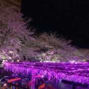 ヒメ日記 2026/04/01 20:19 投稿 29日体験はんな 出会い系人妻ネットワーク さいたま～大宮編