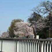 ヒメ日記 2026/04/26 16:01 投稿 りか 高級オナクラ　ひよこクラブ