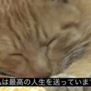 ヒメ日記 2026/04/30 19:31 投稿 りか 高級オナクラ　ひよこクラブ