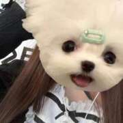 ヒメ日記 2026/04/02 23:22 投稿 もえ 萌えカワ