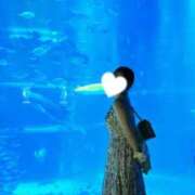 ヒメ日記 2026/04/04 18:18 投稿 くぅ Fカップの魅力♡ Office Love　町田店（Loveグループ）