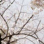 しおり 今なら…🫣 横浜関内人妻城