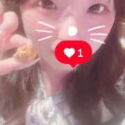 ヒメ日記 2026/04/08 01:23 投稿 みみ コーチと私と、ビート板･･･