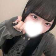 ヒメ日記 2026/04/13 12:23 投稿 みみ コーチと私と、ビート板･･･