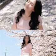 ヒメ日記 2026/04/03 10:12 投稿 まゆ【癒やしと快楽の世界へ..】 ポニーテール和歌山店