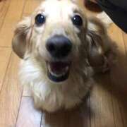 ヒメ日記 2026/04/02 06:50 投稿 あかり 奥鉄オクテツ和歌山