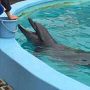 ヒメ日記 2026/04/03 12:25 投稿 あかり 奥鉄オクテツ和歌山