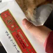 あかり ごめんなさい。 奥鉄オクテツ和歌山