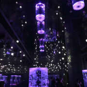 ヒメ日記 2026/04/06 14:45 投稿 あかり 奥鉄オクテツ和歌山