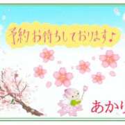 ヒメ日記 2026/04/22 10:10 投稿 あかり 奥鉄オクテツ和歌山