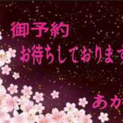 ヒメ日記 2026/05/06 07:50 投稿 あかり 奥鉄オクテツ和歌山