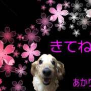 ヒメ日記 2026/05/07 19:10 投稿 あかり 奥鉄オクテツ和歌山