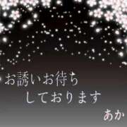ヒメ日記 2026/05/13 12:05 投稿 あかり 奥鉄オクテツ和歌山