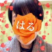 ヒメ日記 2026/03/28 10:00 投稿 はる 性腺熟女100％（デリヘル市場）