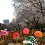 ヒメ日記 2026/03/28 20:05 投稿 はる 性腺熟女100％（デリヘル市場）