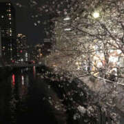 ヒメ日記 2026/03/31 12:48 投稿 はる 性腺熟女100％本店（デリヘル市場）