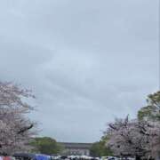 白鳥ゆうき お礼です セカンドパートナー本店