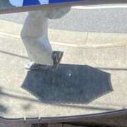 ヒメ日記 2026/04/13 22:55 投稿 白鳥ゆうき セカンドパートナー本店