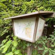 ヒメ日記 2026/08/25 06:05 投稿 白鳥ゆうき セカンドパートナー本店