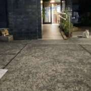 ヒメ日記 2026/09/01 23:05 投稿 白鳥ゆうき セカンドパートナー本店