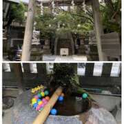 ヒメ日記 2026/09/12 17:15 投稿 白鳥ゆうき セカンドパートナー本店