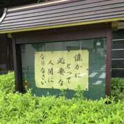 ヒメ日記 2026/09/13 14:00 投稿 白鳥ゆうき セカンドパートナー本店