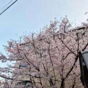 ヒメ日記 2026/03/29 09:16 投稿 藤村まどか MADAM