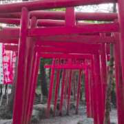 ヒメ日記 2026/04/04 08:31 投稿 藤村まどか MADAM