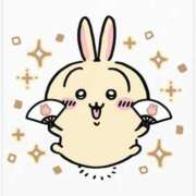 ヒメ日記 2026/04/02 06:35 投稿 ウサギ AMOUR（アムール）