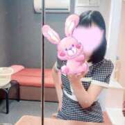 ヒメ日記 2026/04/02 07:31 投稿 ウサギ AMOUR（アムール）