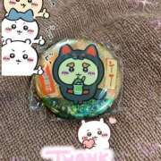 ヒメ日記 2026/04/02 15:31 投稿 ウサギ AMOUR（アムール）