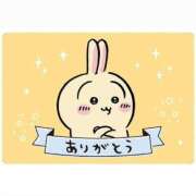 ヒメ日記 2026/04/04 06:30 投稿 ウサギ AMOUR（アムール）