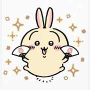 ヒメ日記 2026/04/06 08:15 投稿 ウサギ AMOUR（アムール）