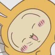 ヒメ日記 2026/04/23 06:00 投稿 ウサギ AMOUR（アムール）