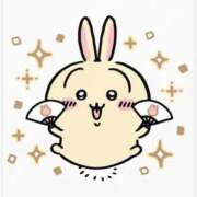 ヒメ日記 2026/04/28 08:06 投稿 ウサギ AMOUR（アムール）