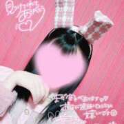 ヒメ日記 2026/04/28 09:02 投稿 ウサギ AMOUR（アムール）